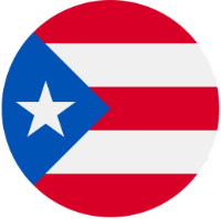bandera puerto rico v2
